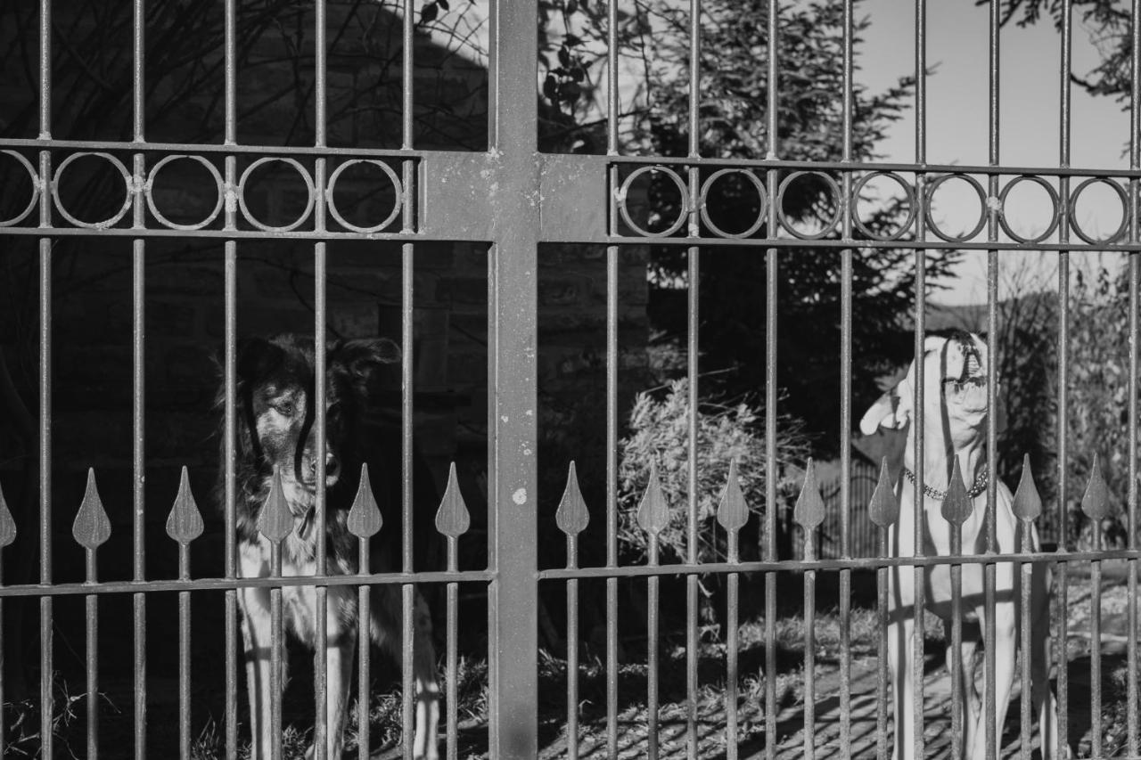Marsaglia  Casa Taro Bed & Breakfast エクステリア 写真