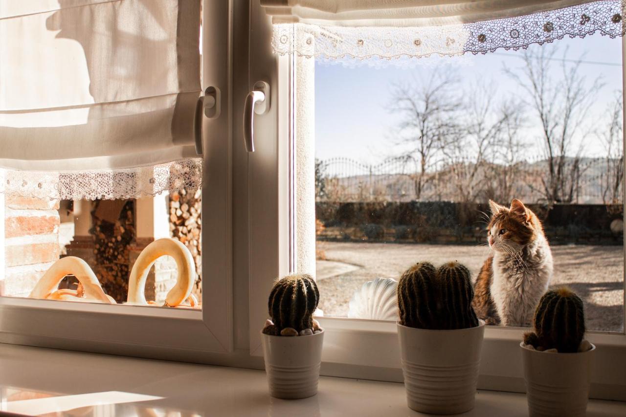 Marsaglia  Casa Taro Bed & Breakfast エクステリア 写真